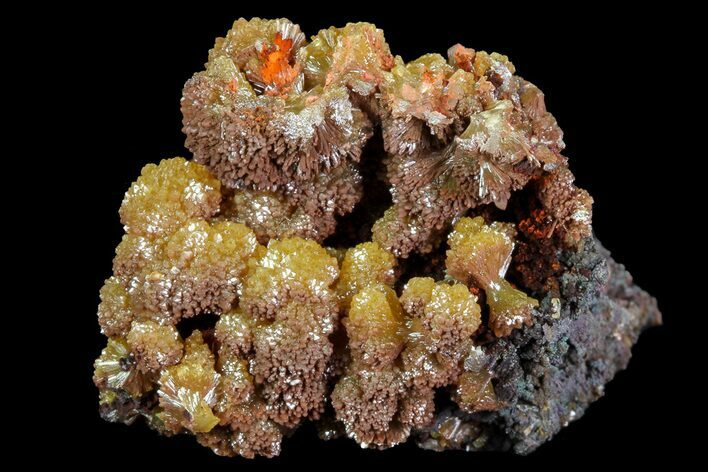 Orange-Yellow Mimetite Crystals - Arizona #69214